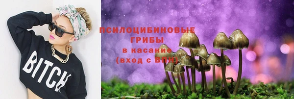 сатива Белоозёрский