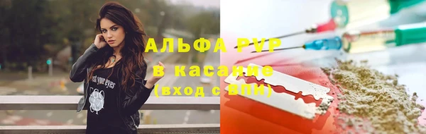 PSILOCYBIN Балахна