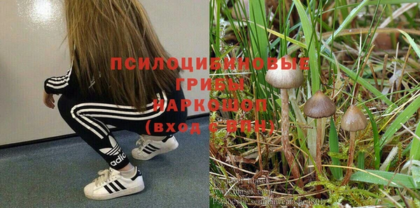 PSILOCYBIN Балахна