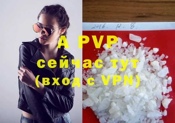 стафф Аркадак