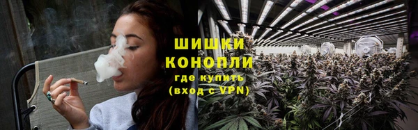 PSILOCYBIN Балахна
