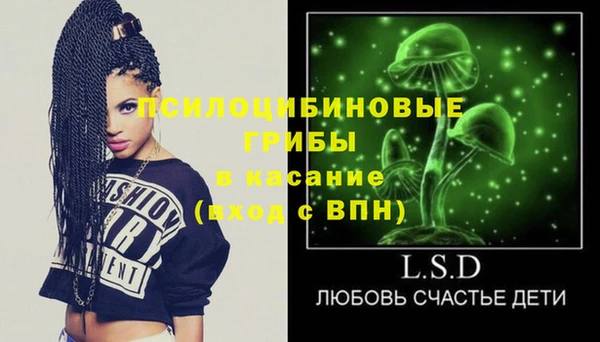 PSILOCYBIN Балахна