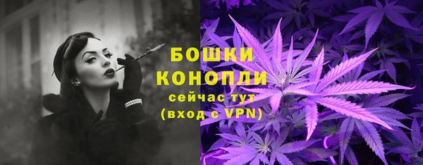 PSILOCYBIN Балахна