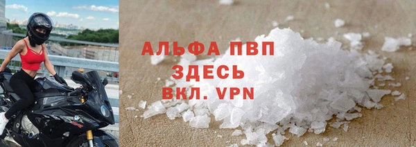 сатива Белоозёрский