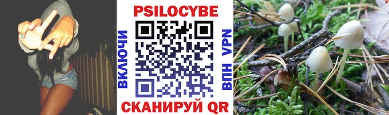 Купить где  Усолье-Сибирское  Галлюциногенные грибы Psilocybine cubensis 