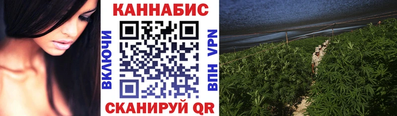 Купить закладки  Усолье-Сибирское  Канабис OG Kush 
